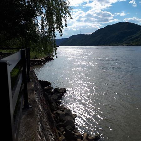 Dedin Raj Villa Golubac Exterior photo