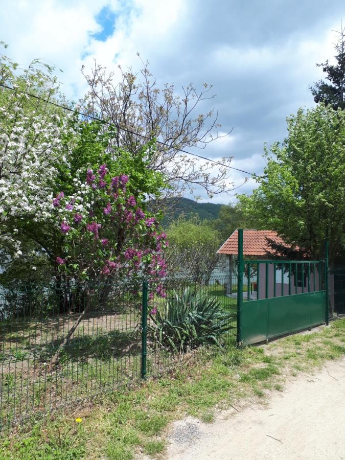 Dedin Raj Villa Golubac Exterior photo