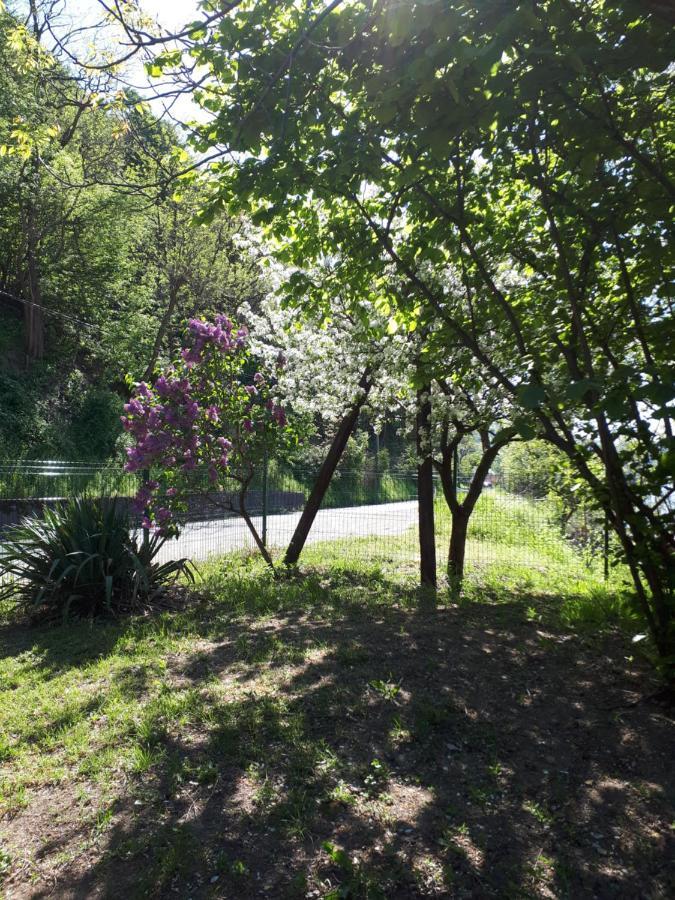 Dedin Raj Villa Golubac Exterior photo