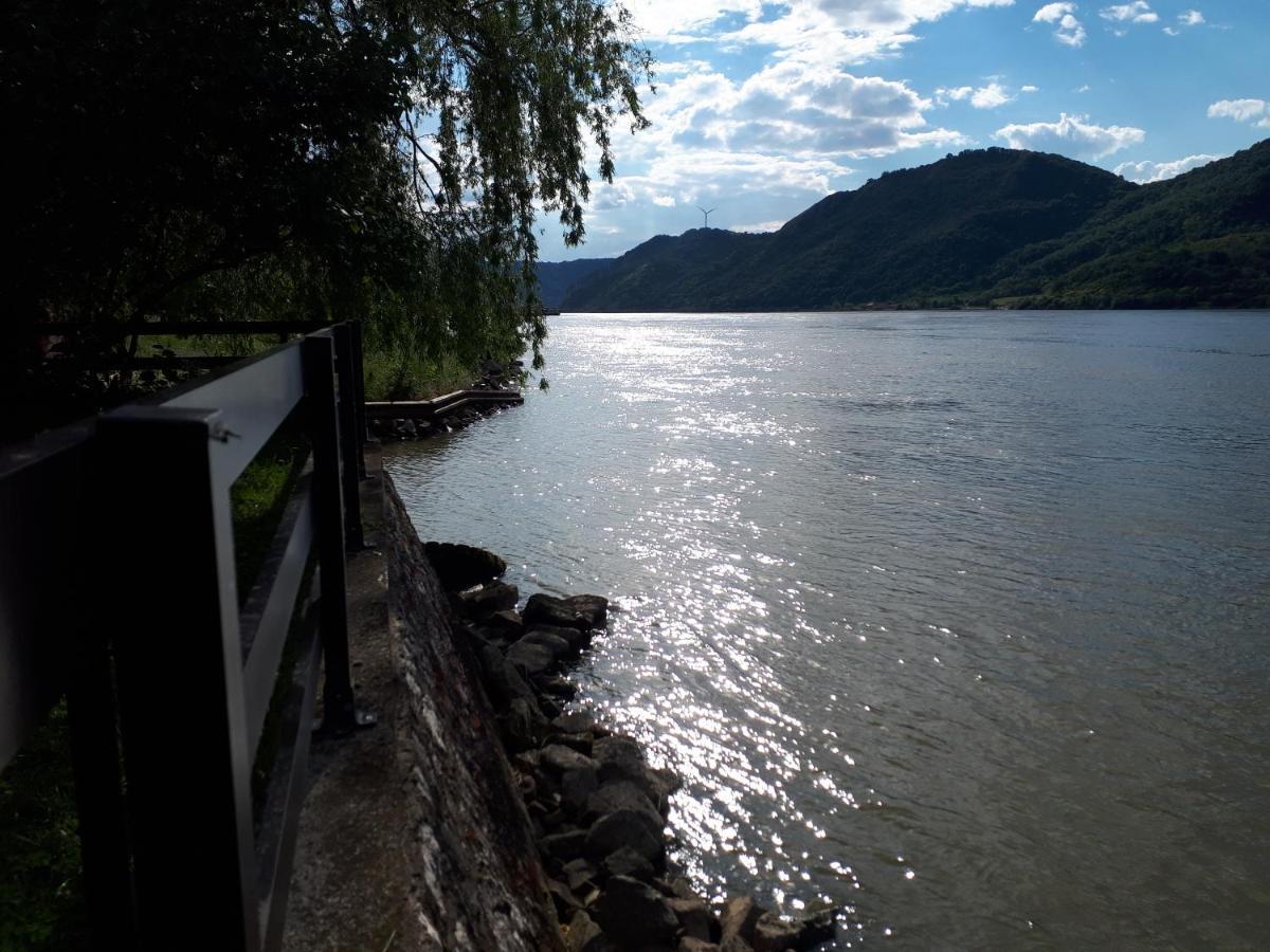 Dedin Raj Villa Golubac Exterior photo